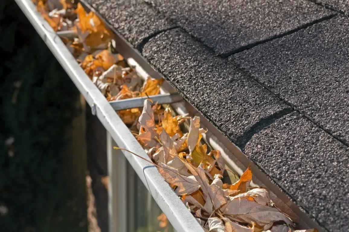Idaho Falls Idaho Gutter Maintenance