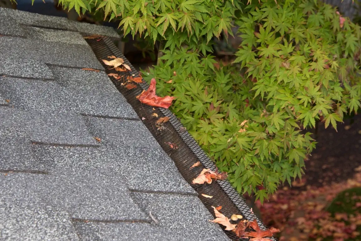 How to Protect Your Roof and Gutters from Falling Leaves