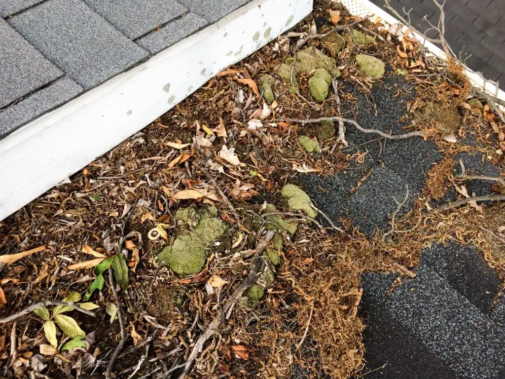How to Safely Remove Debris From Your Roof