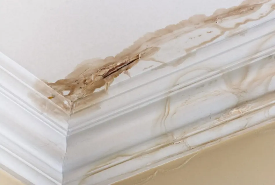 ceiling with stain from roof leak Idaho Falls, ID